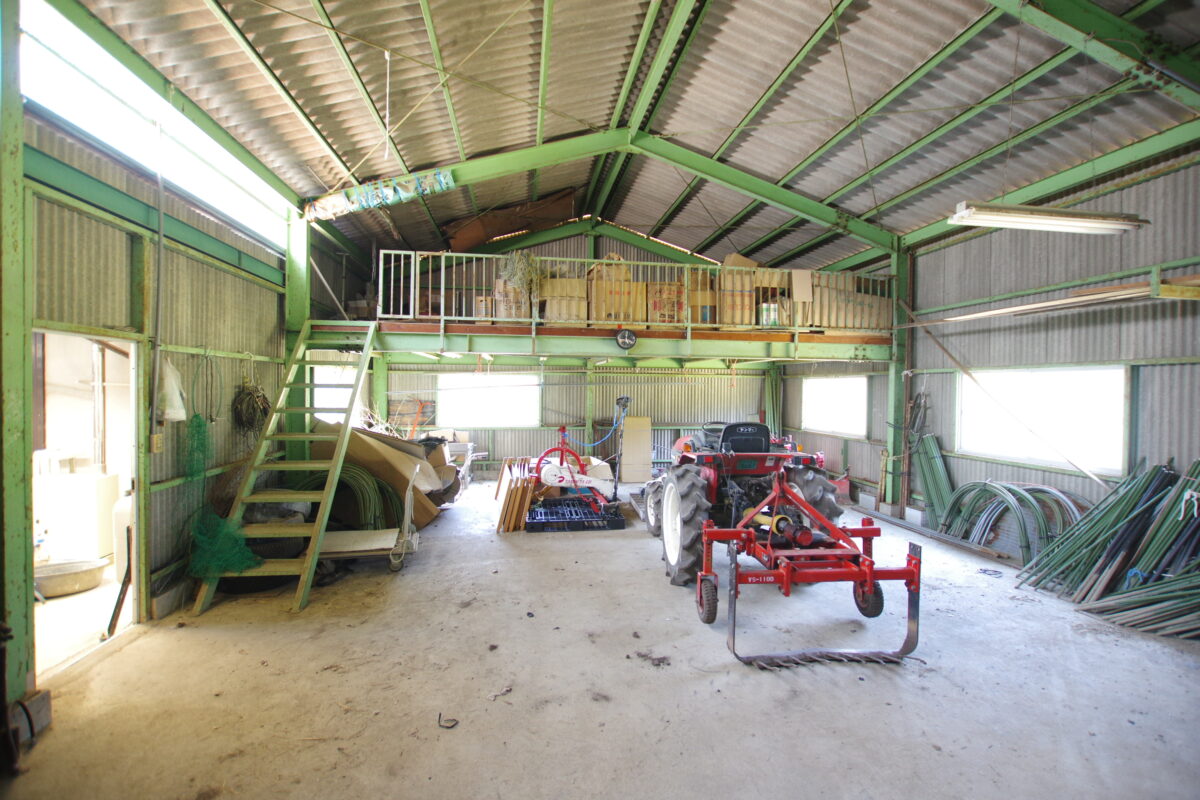 House in Tanba, Hyogo: photo 4
