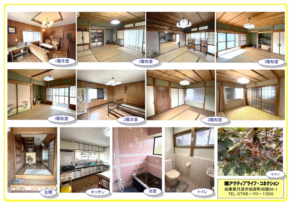 House in Tanba, Hyogo: photo 2