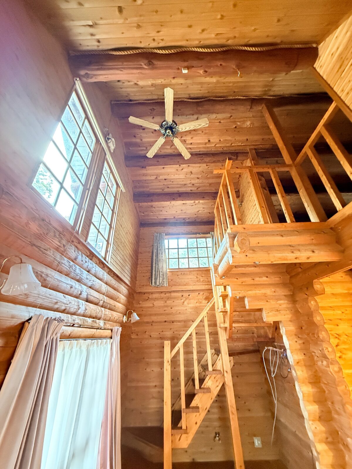 House in Tanba, Hyogo: photo 5