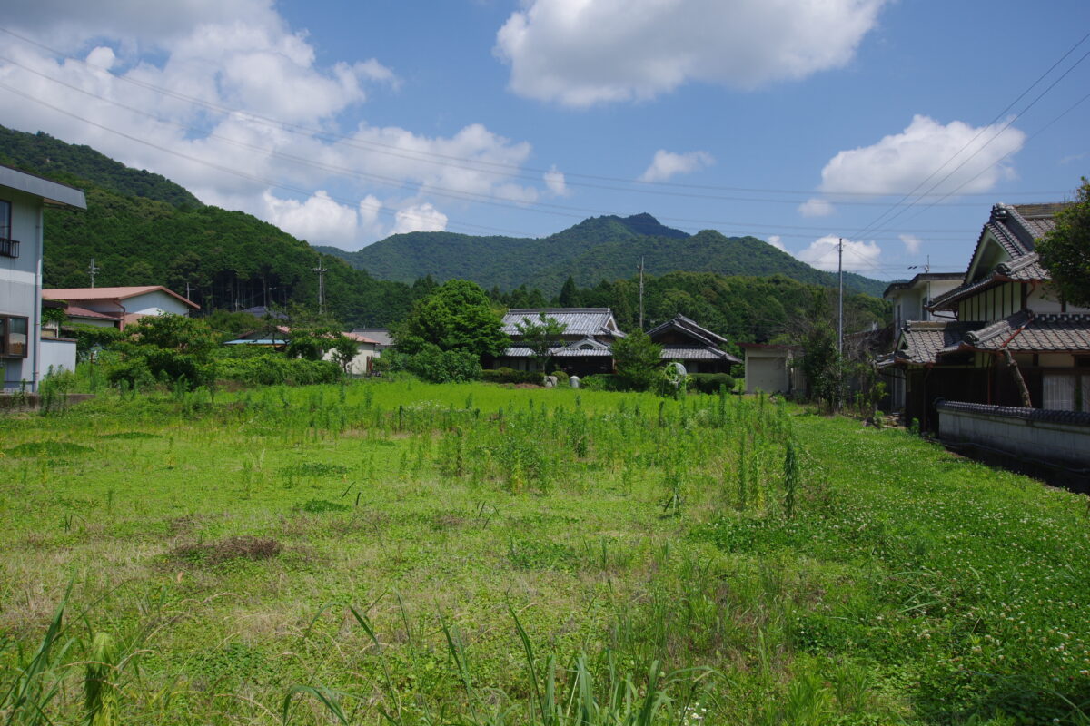 House in Tanba, Hyogo: photo 4