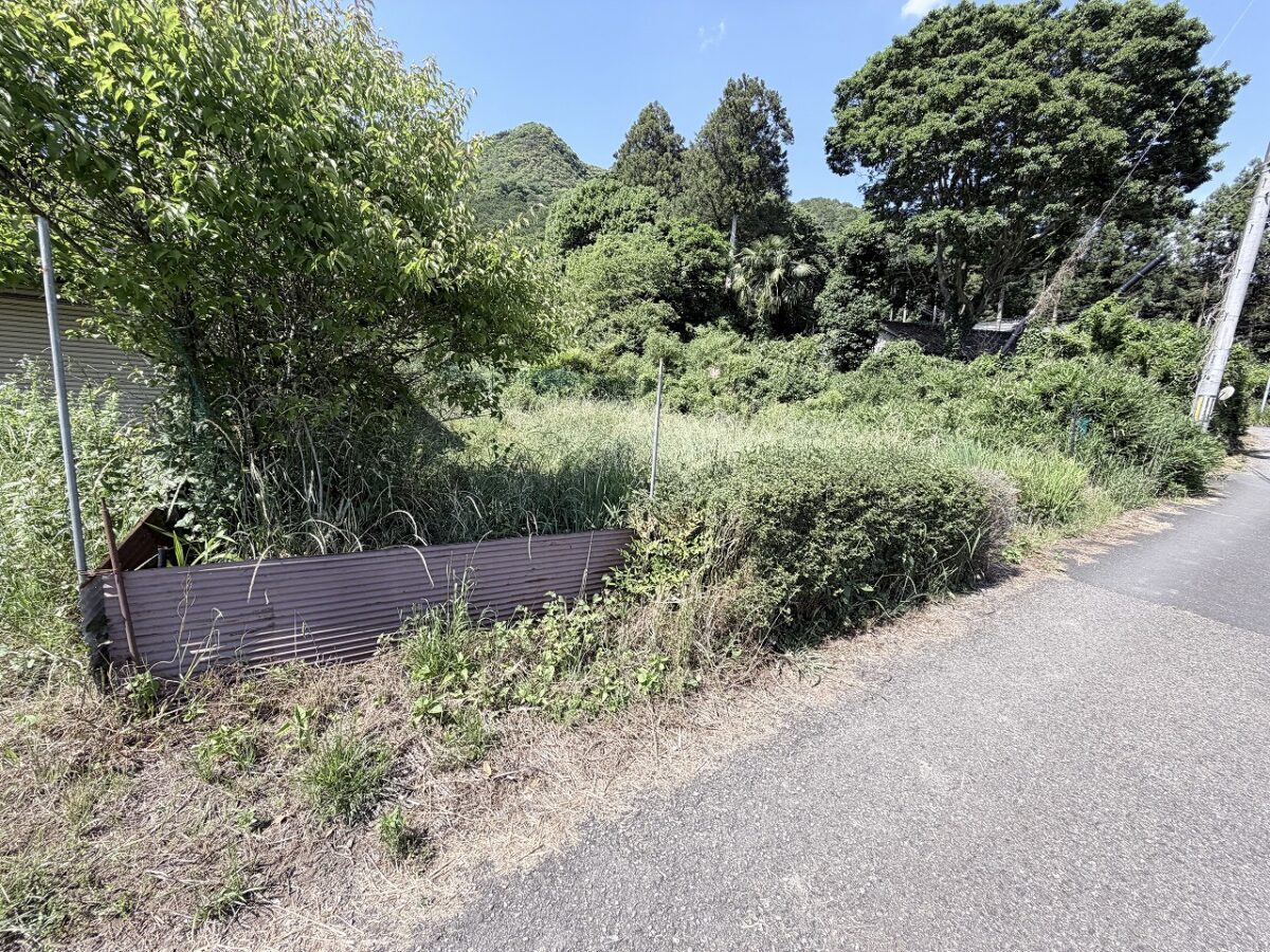 House in Tanba, Hyogo: photo 4